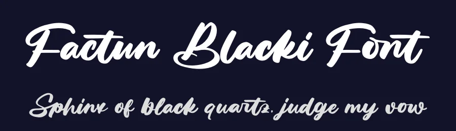 Factun Blacki Font by letterenastudios — Script Handwritten Font — thumbnail 2