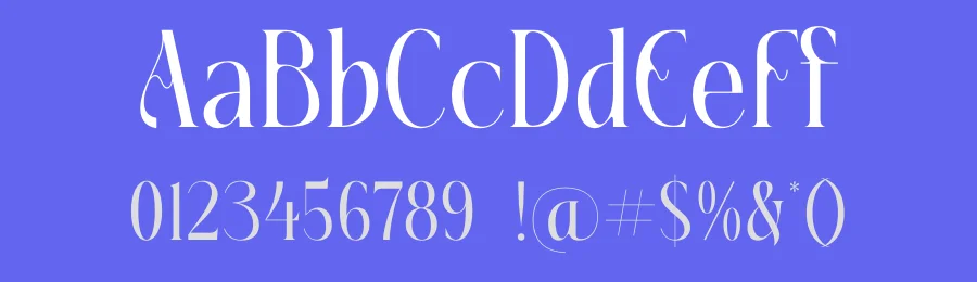 Fading Husker Font by timelesstype.co — Display Font — thumbnail 3