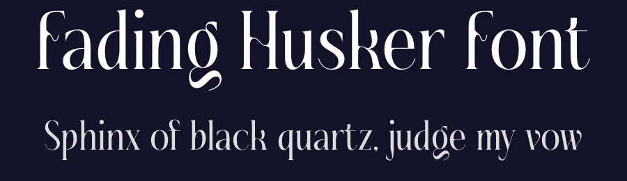 Fading Husker Font by timelesstype.co — Display Font — thumbnail 2