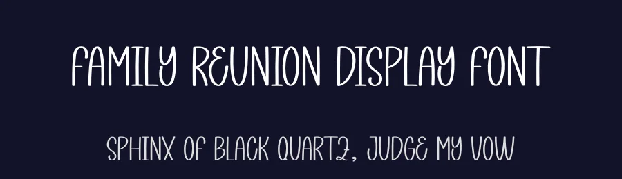Family Reunion Display Font by creativeletter — Display Font — thumbnail 2