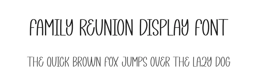 Family Reunion Display Font by creativeletter — Display Font