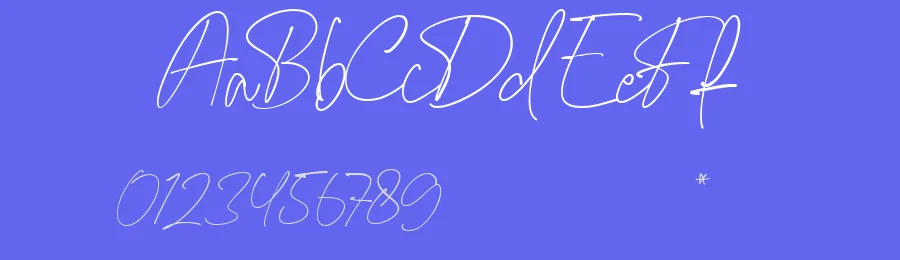 Famingo Ranita Font by Lettermine — Serif Font — thumbnail 3