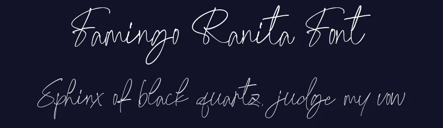 Famingo Ranita Font by Lettermine — Serif Font — thumbnail 2