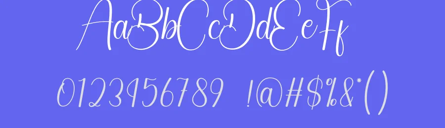 Famous Signature Font by creativeletter — Script Handwritten Font — thumbnail 3
