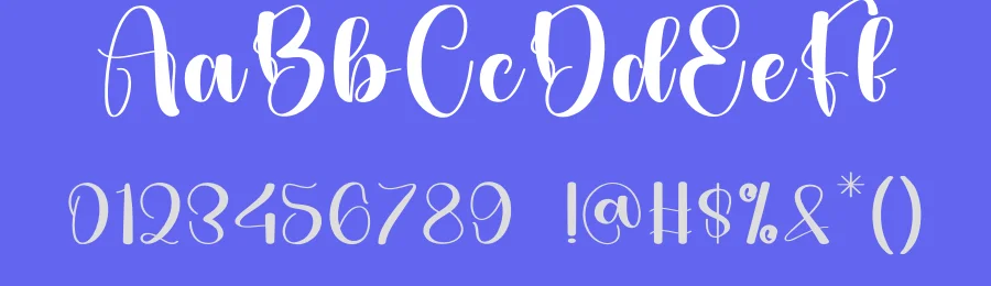 Fancy Script Font by andikastudio — Script Handwritten Font — thumbnail 3