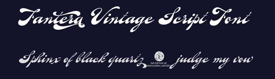 Fantera Vintage Script Font by Alcode — Script Handwritten Font — thumbnail 2