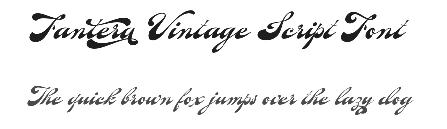 Fantera Vintage Script Font by Alcode — Script Handwritten Font