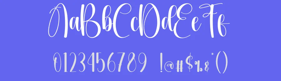 Farmhouse Calligraphy Font by creativeletter — Script Handwritten Font — thumbnail 3