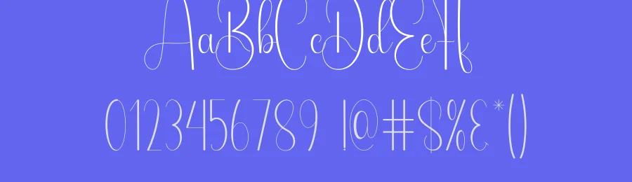 Farmhouse Calligraphy Font by andikastudio — Script Handwritten Font — thumbnail 3
