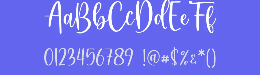 Farmhouse Calligraphy Font by Sugartype — Script Handwritten Font — thumbnail 3