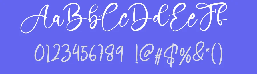 Farmhouse Signature Script Font by creativeletter — Script Handwritten Font — thumbnail 3