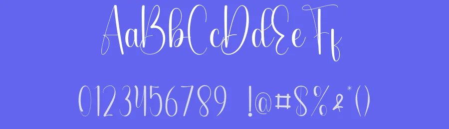 February Calligraphy Font by andikastudio — Script Handwritten Font — thumbnail 3