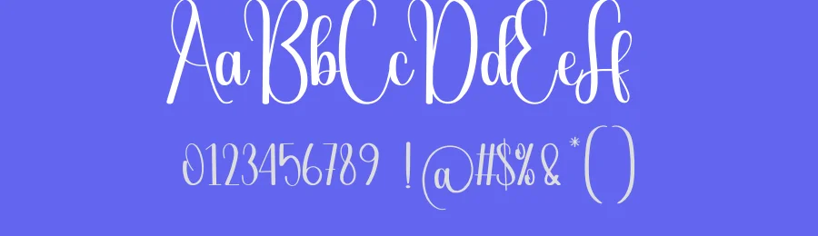 Feedback Script Font by andikastudio — Script Handwritten Font — thumbnail 3