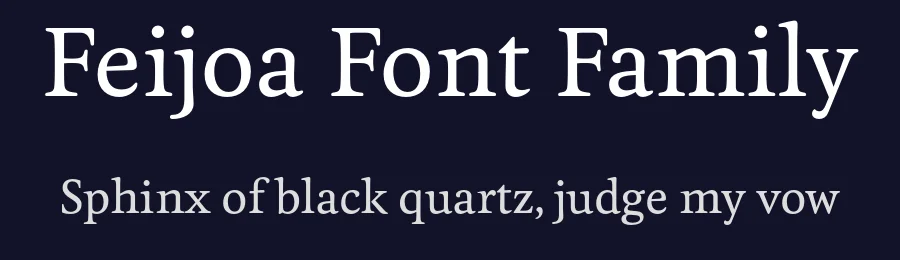 Feijoa Font Family by Klim Type Foundry — Serif Font — thumbnail 2