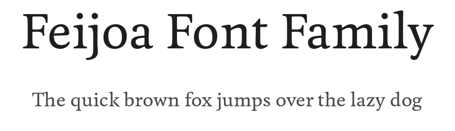 Feijoa Font Family by Klim Type Foundry — Serif Font