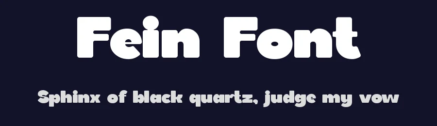 Fein Font by Rautan Studio — Decorative Font — thumbnail 2