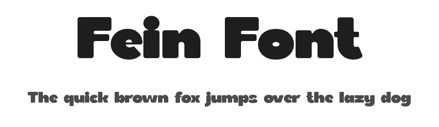 Fein Font by Rautan Studio — Decorative Font