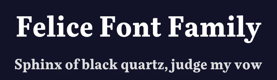 Felice Font Family by Nootype — Serif Font — thumbnail 2