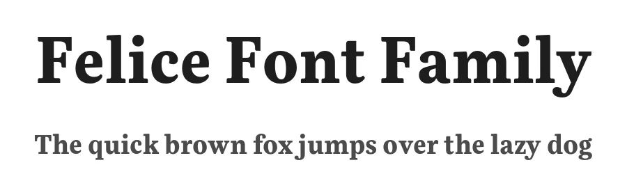 Felice Font Family by Nootype — Serif Font