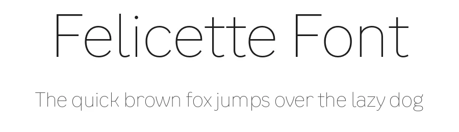 Felicette Font by Space Type — Sans Serif Font