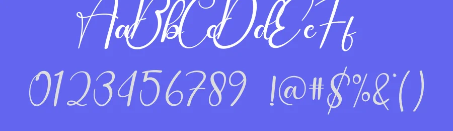 Felicity Script Font by andikastudio — Script Handwritten Font — thumbnail 3