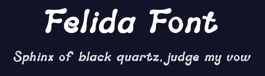 Felida Font by SlideShoot — Serif Font — thumbnail 2