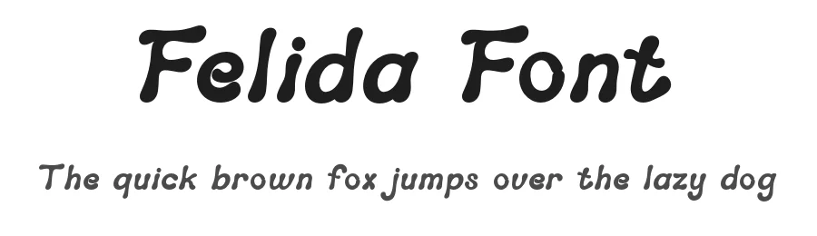 Felida Font by SlideShoot — Serif Font