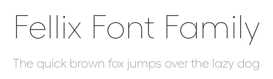 Fellix Font Family by Displaay β Sans Serif Font