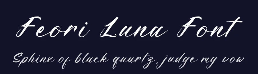 Feori Luna Font by letterenastudios — Script Handwritten Font — thumbnail 2