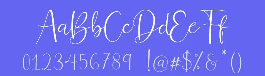 Ferinitta Calligraphy Font by Ef_Studio — Script Handwritten Font — thumbnail 3