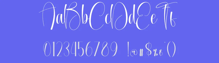 Festival Calligraphy Font by creativeletter — Script Handwritten Font — thumbnail 3