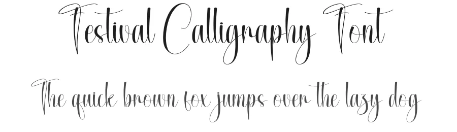 Festival Calligraphy Font by creativeletter — Script Handwritten Font