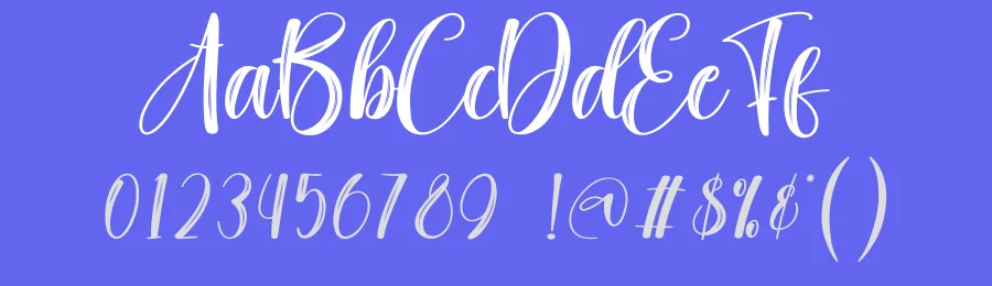 Festival Saturday Brush Font by creativeletter — Script Handwritten Font — thumbnail 3