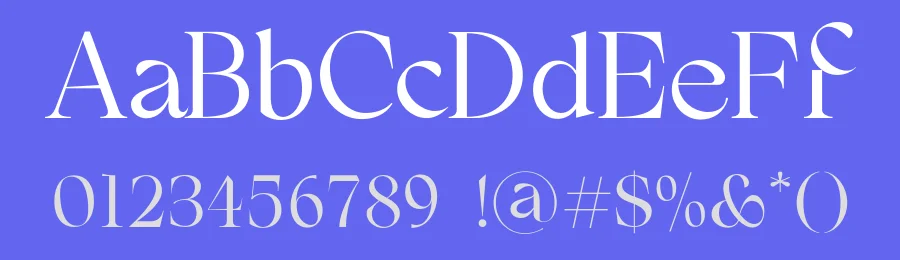 FH 1089 Font by Fatih Hardal — Serif Font — thumbnail 3