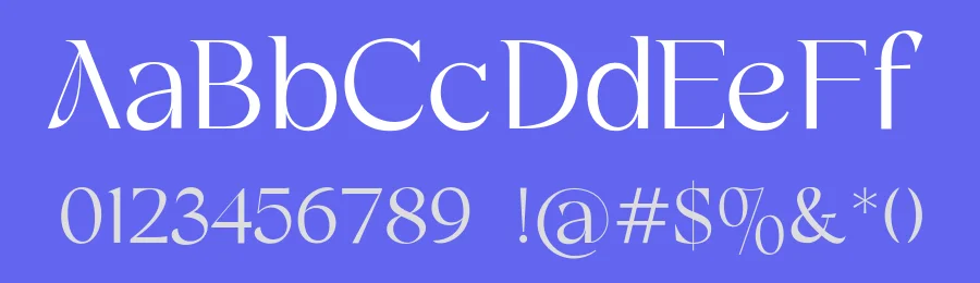 FH Alpha Font by Fatih Hardal — Serif Font — thumbnail 3