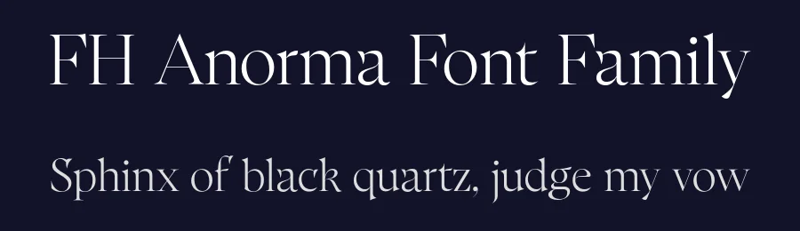 FH Anorma Font Family by Fatih Hardal — Serif Font — thumbnail 2