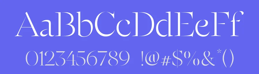 FH Ensō Font Family by Fatih Hardal — Serif Font — thumbnail 3
