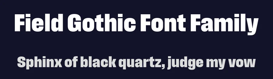 Field Gothic Font Family by Signal — Sans Serif Font — thumbnail 2