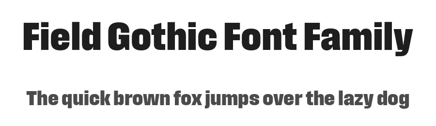 Field Gothic Font Family by Signal — Sans Serif Font