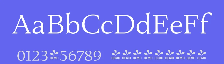 Fielding Font Family by AVP — Serif Font — thumbnail 3