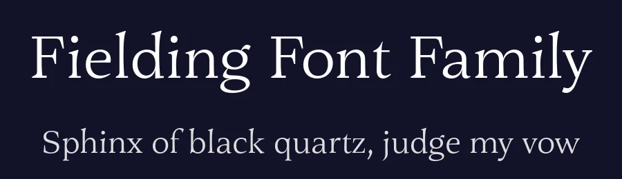 Fielding Font Family by AVP — Serif Font — thumbnail 2