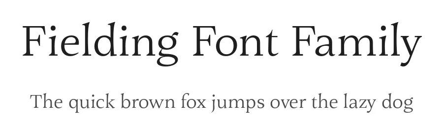 Fielding Font Family by AVP — Serif Font