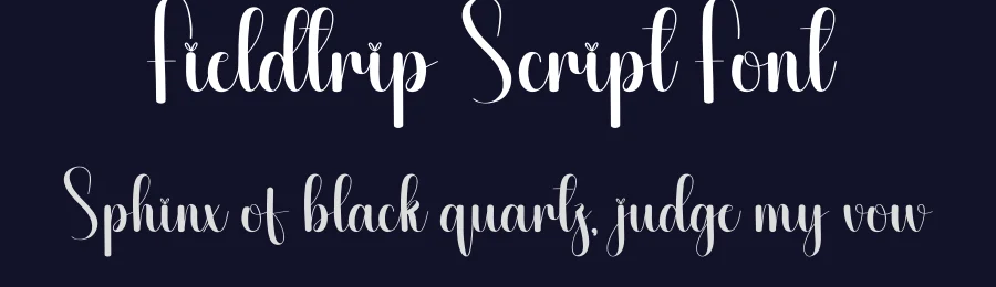 Fieldtrip Script Font by creativeletter — Script Handwritten Font — thumbnail 2