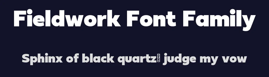 Fieldwork Font Family by TipoType — Sans Serif Font — thumbnail 2