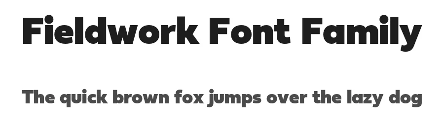 Fieldwork Font Family by TipoType — Sans Serif Font