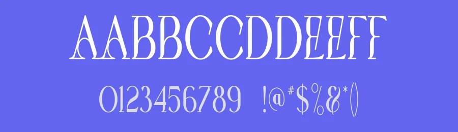 Fig Font by vpcreativeshop — Serif Font — thumbnail 3