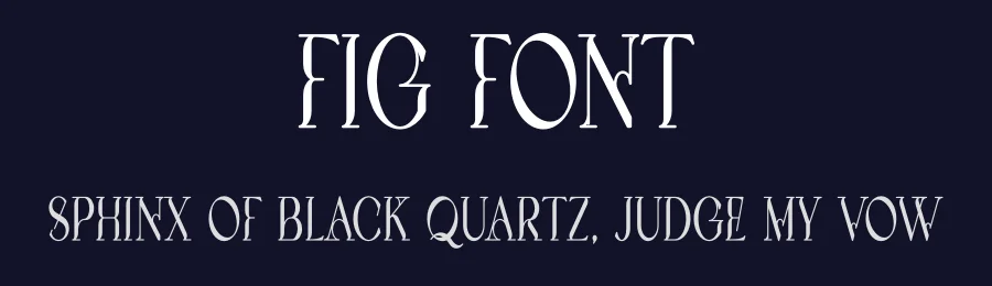 Fig Font by vpcreativeshop — Serif Font — thumbnail 2