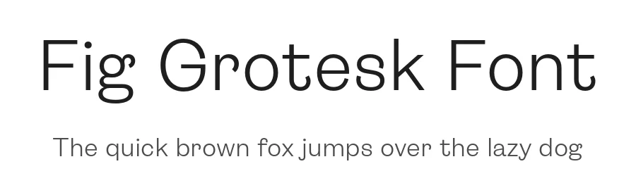 Fig Grotesk Font by Typeji — Sans Serif Font