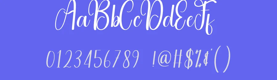 Fight Script Font by andikastudio — Script Handwritten Font — thumbnail 3