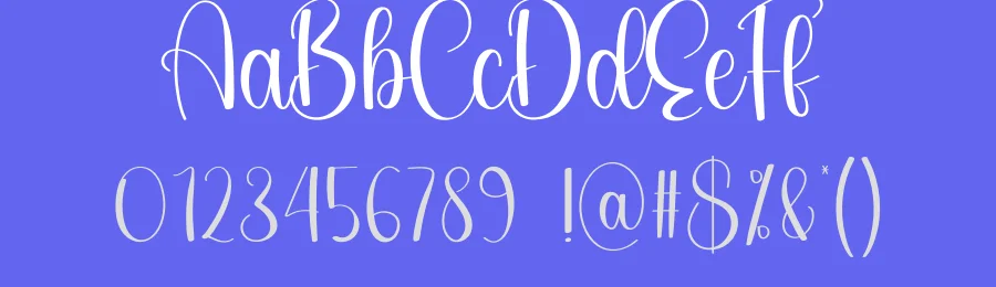 Fighter Script Font by Wati Studio — Script Handwritten Font — thumbnail 3